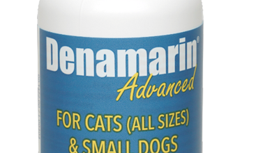 denamarin advanced for small dogs